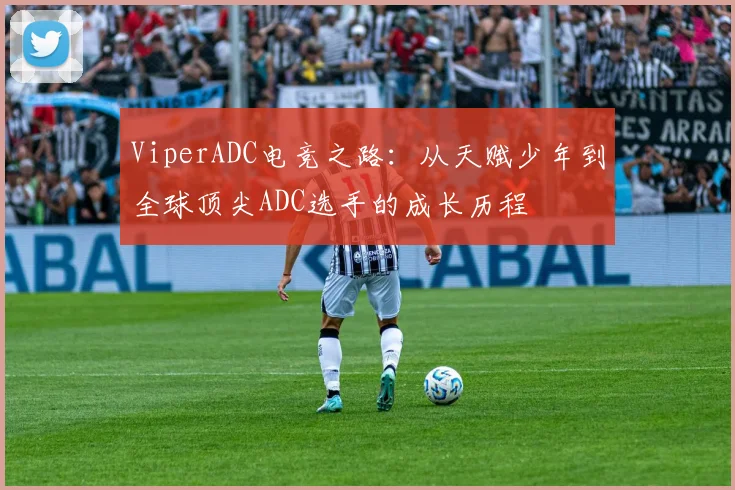 ViperADC电竞之路：从天赋少年到全球顶尖ADC选手的成长历程
