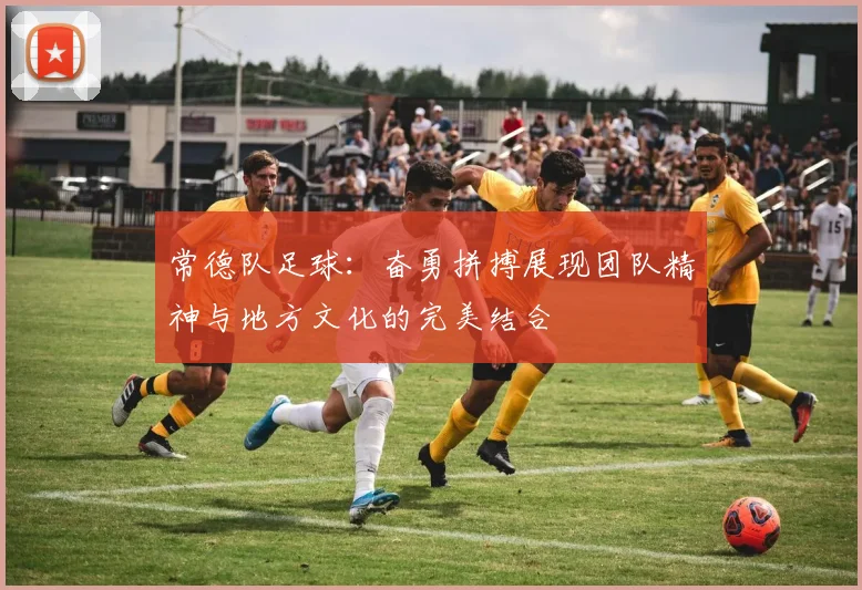 常德队足球：奋勇拼搏展现团队精神与地方文化的完美结合