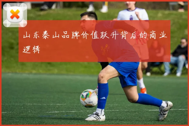 山东泰山品牌价值跃升背后的商业逻辑