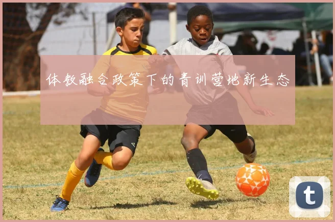 体教融合政策下的青训营地新生态