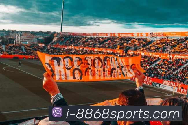 App Interface Preview