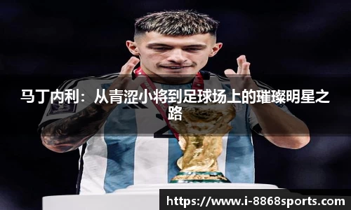 马丁内利：从青涩小将到足球场上的璀璨明星之路